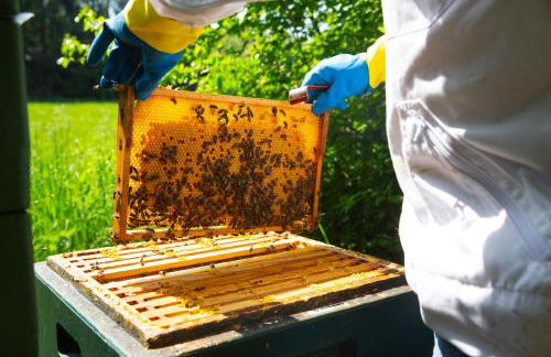 Ferienwohnung Haus Holtdirk - Foto 17