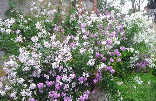 Maison d'hôtes - Foto 10