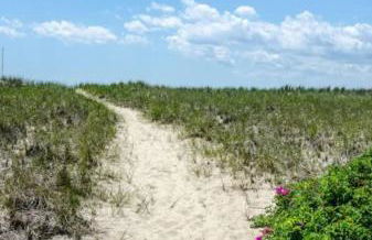 Serene Condo for Cozy Cape Getaway - Foto 16