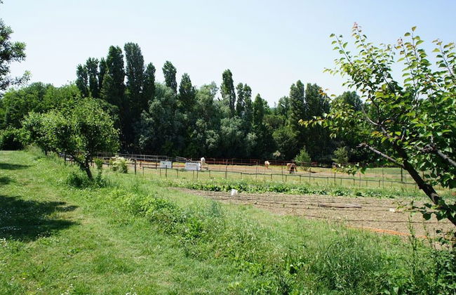 Agriturismo Case Mori - Foto 27