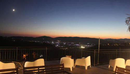 Fattoria Cristina - Fenice - Foto 5