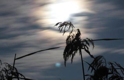 Marktplatz 14 Penthouse Apartments Bad Buchau - Foto 24