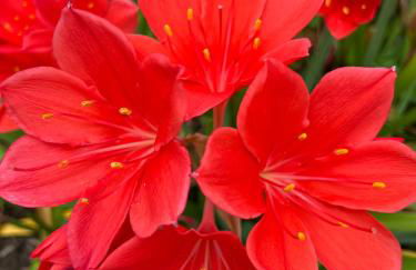 Villa Marta loft diáfano con jardín y aparcamiento en Villa histórica - Foto 31