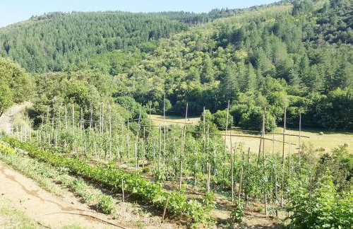 Cévennes Méridionales maison linge fourni - Foto 53