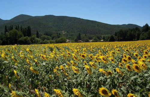 Le Mas des Restanques - Foto 57