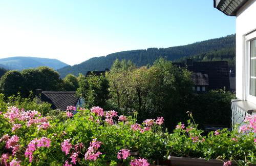 Ferienwohnungen Luge - Winterberg - Foto 31