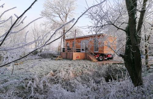 Tinyhouse Zirkuswagen- Kotten Kunterbunt - Foto 20