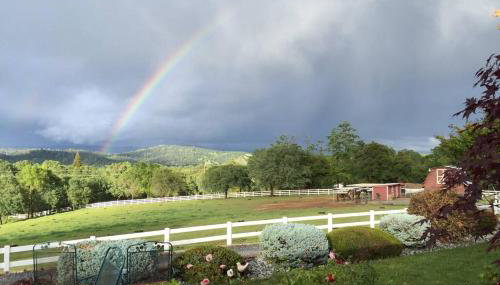 Amazing Loft on Horse Ranch - Photo 3, Garden