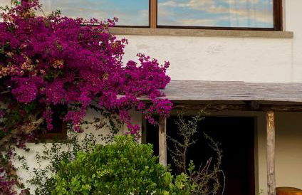 Terrazza sull Argentario - Foto 24