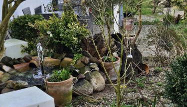 Bokelrehm 4 - Foto 5