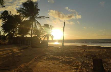 Casa beira mar com piscina Coruripe Povoado Miai de cima - Foto 41