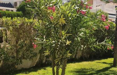 Parquemar con vistas al mar - Photo 15