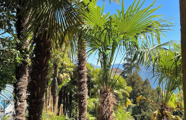 Enchanting View of Lake Maggiore & Mountains - Photo 42