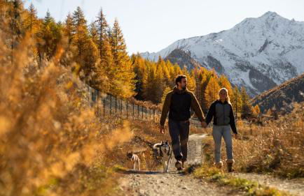 Agriturismo Plan de la Tour B&B - Photo 21