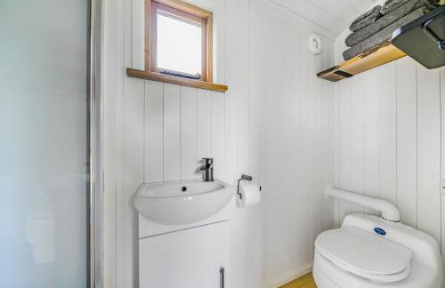 Fferm Fach by Birch Stays - Foto 41