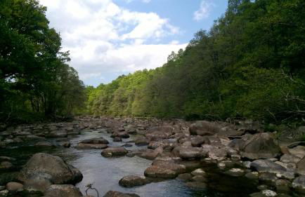 The Little Houses - Foto 23