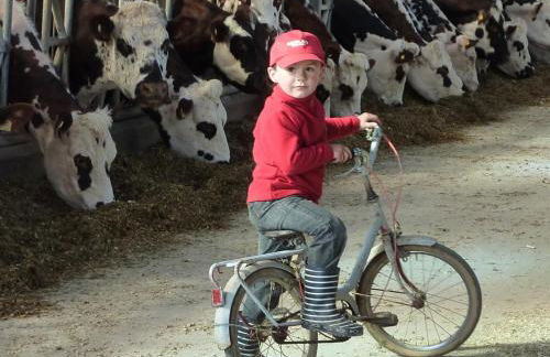 Gite de la Huberderie - Foto 20