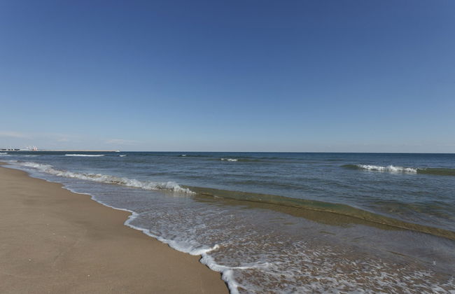 Cotton in Oliva With 3 Bedrooms and 1 Bathrooms - Foto 3