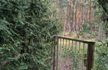 Haus Waldidyll am Briesensee - Foto 11