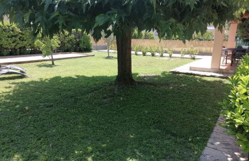 Gîte Les Demoiselles des Sorgues - Photo 12