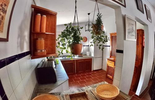 La Blanca de Aroche 10 personas - Foto 18