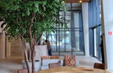 Studio Alive - Charme e Vista Mar na Vitória - Photo 10