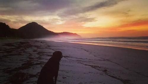 Praia de Itamambuca- Casa charmosa e iluminada - Foto 3