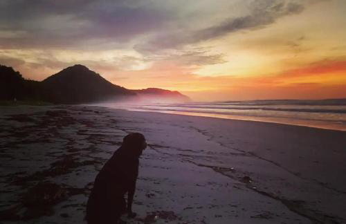Praia de Itamambuca- Casa charmosa e iluminada - Foto 3
