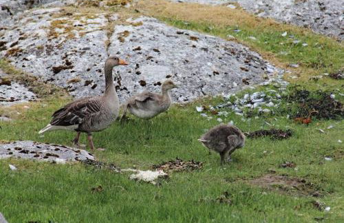 Old Post Office - Foto 31