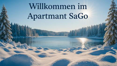 Apartment SaGo 2 - Foto 4