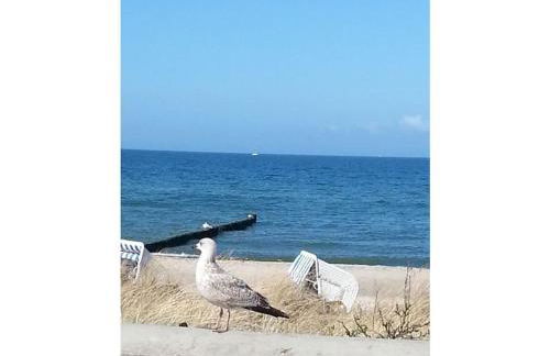 Pool house by the lighthouse - Foto 23