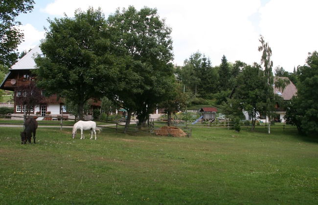 Historisches Ferienhaus im Schwarzwald - Photo 25