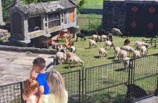 Pé na Aldeia - Foto 28