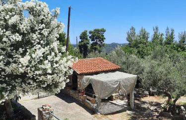 House with View - Foto 23