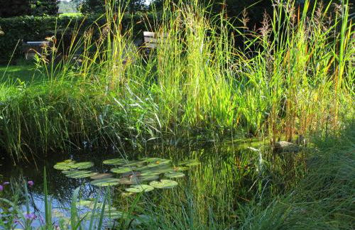 Studioferienhaus Herzogstadt-Celle - Foto 28