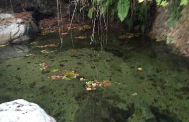 Despina Studios 4 beds with loft and kitchenette # 8 - Foto 22