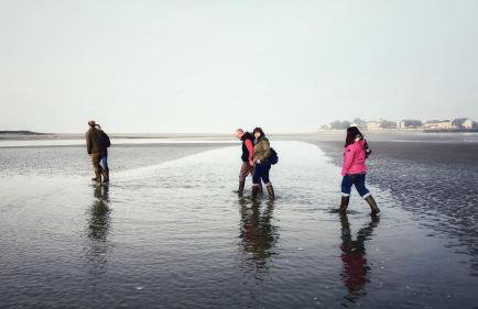 Ptit Somme en Baie - Foto 22