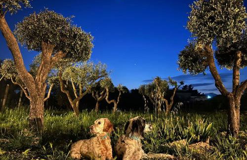 La Perla di Dea - Photo 3