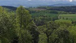 Domek letniskowy Radomice - Foto 5