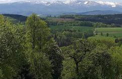 Domek letniskowy Radomice - Foto 5