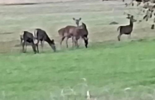 Tra lago e montagne home nonna Maria - Foto 54