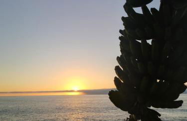 Finca Don Victor - Foto 37