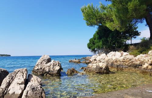 Golden sunset apps - Foto 27