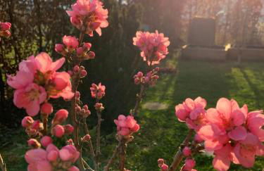 Bright new studio 43m2 with a beautiful garden - Photo 23