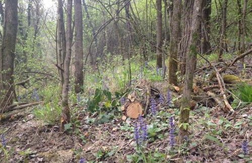 Pizzicalaluna Agriturismo Olistico sulle Colline di Pianoro - Photo 72