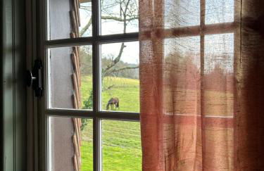 la sifflerie - Foto 46