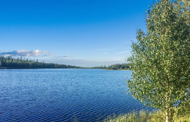 Sallanhelmi a2 - Foto 30