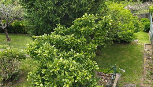 Casa en Loira Marín - Foto 3, Garden