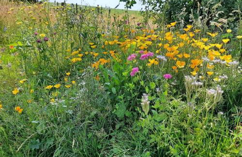 Wellness in the Naafbachtal - Foto 27