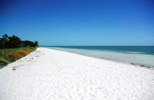 Cozy beachfront oasis, heated pool & ocean views #13 - Foto 7